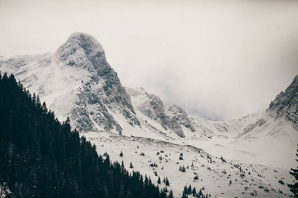 Făgăraș: Făgăraș, Romania (Unsplash)