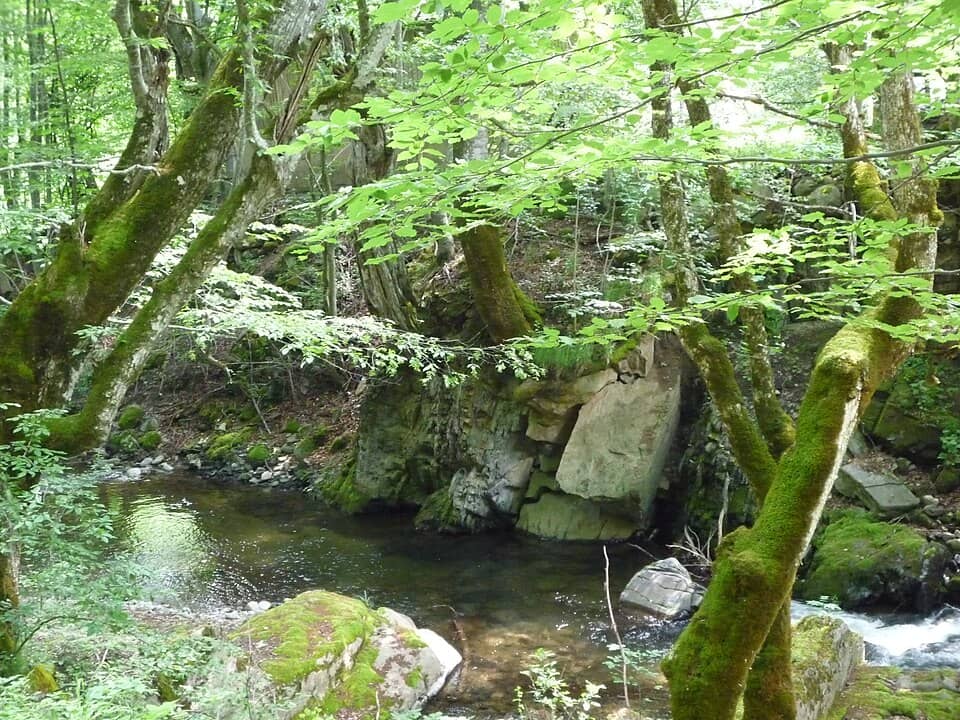 Balcanul Central: Кostina river, река Костина - panoramio