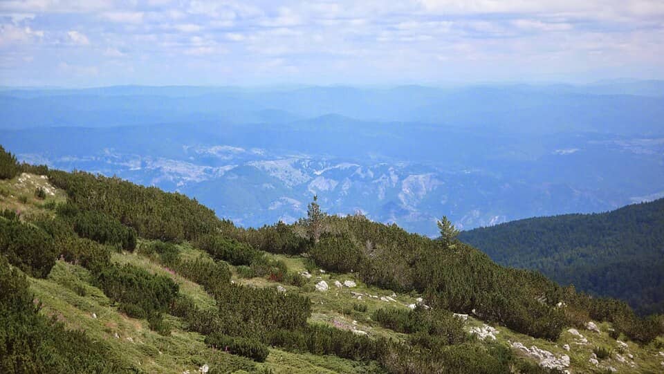 Pirin: Bansko și Vihren: Bansko, Bulgaria - panoramio - Красимир Косев (138)
