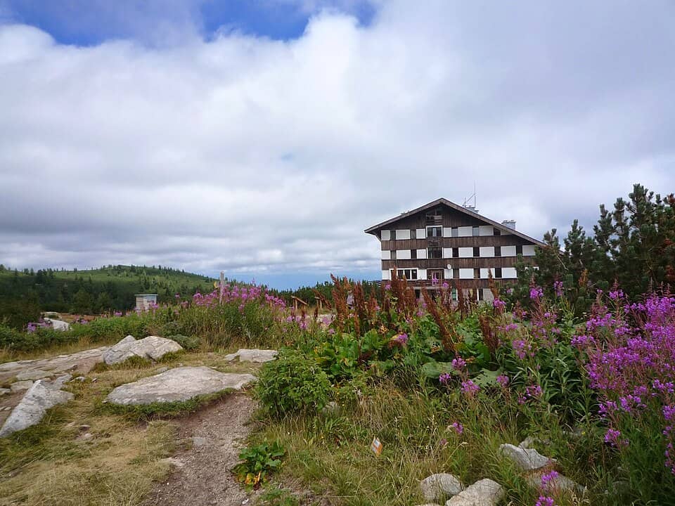 Pirin: Bansko și Vihren: Bansko, Bulgaria - panoramio - Красимир Косев (112)