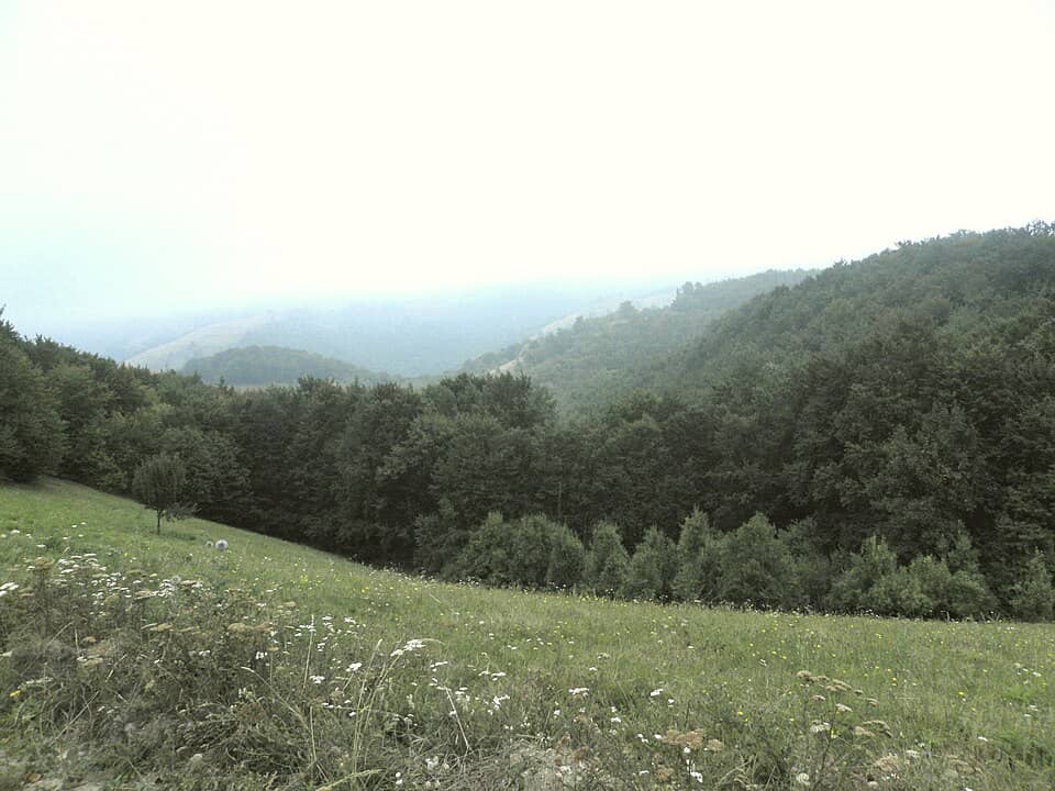 Porțile de Fier & Clisura Dunării: Banat, Gärnik-Rovensko - panoramio (31)