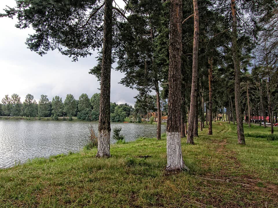 Bodoc & Baraolt: Reci Lake - panoramio