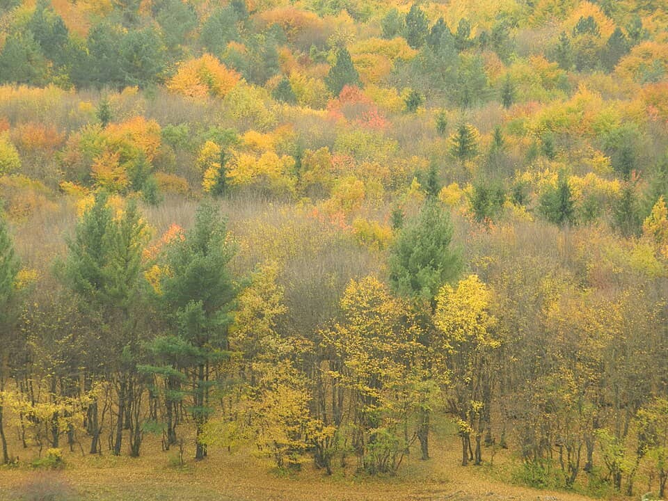 Gilău & Muntele Mare: Toamna langa Cluj-napoca (octombrie 2012) - panoramio