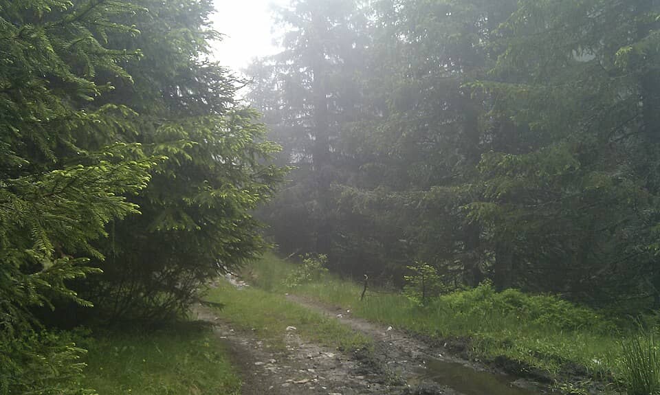 Velingrad și Batak: Планината след дъжда