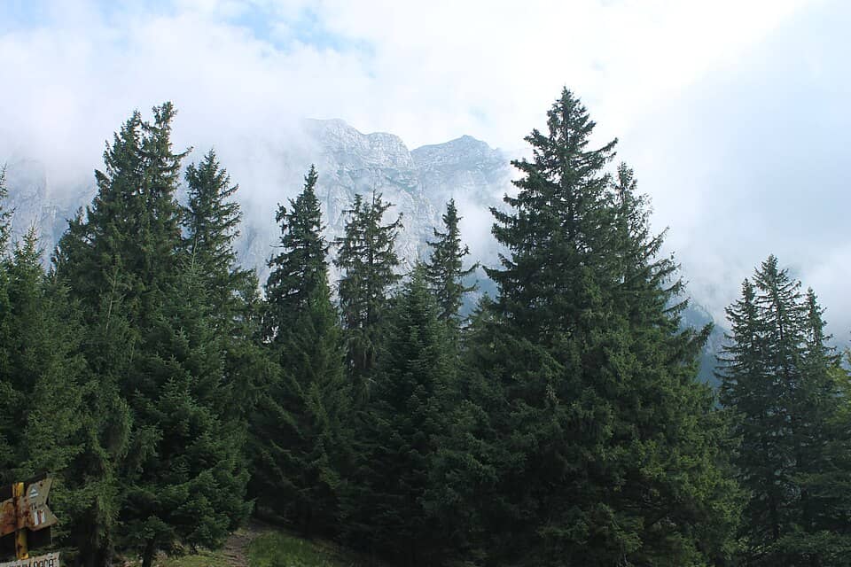 Piatra Craiului: Piatra Craiului, 2014 (01)