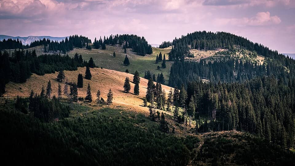 Piatra Craiului: Piatra Craiului, Southern Carpathians - Romania - Landscape photography (36815374365)