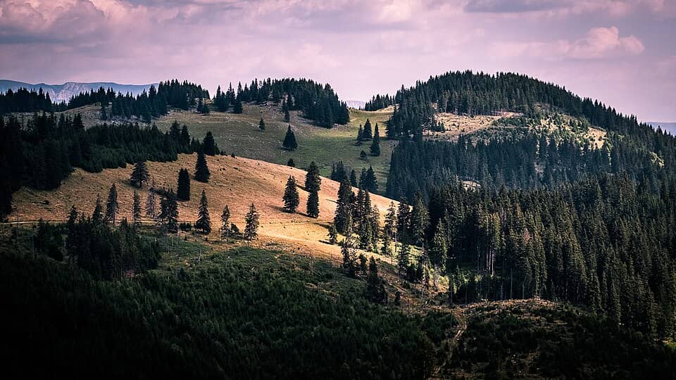 Piatra Craiului: Piatra Craiului Southern Carpathians Romania Landscape Photography (225580025)