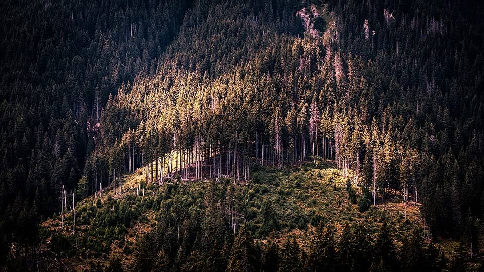 Piatra Craiului: Southern Carpathians, Piatra Craiului - Romania - Landscape photography (36831093712)