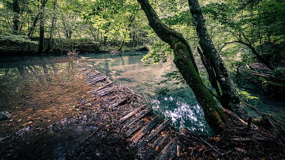 Semenic, Aninei & Nerei-Beușnița: The Wooden Bridge Romania Landscape Photography (223712945)