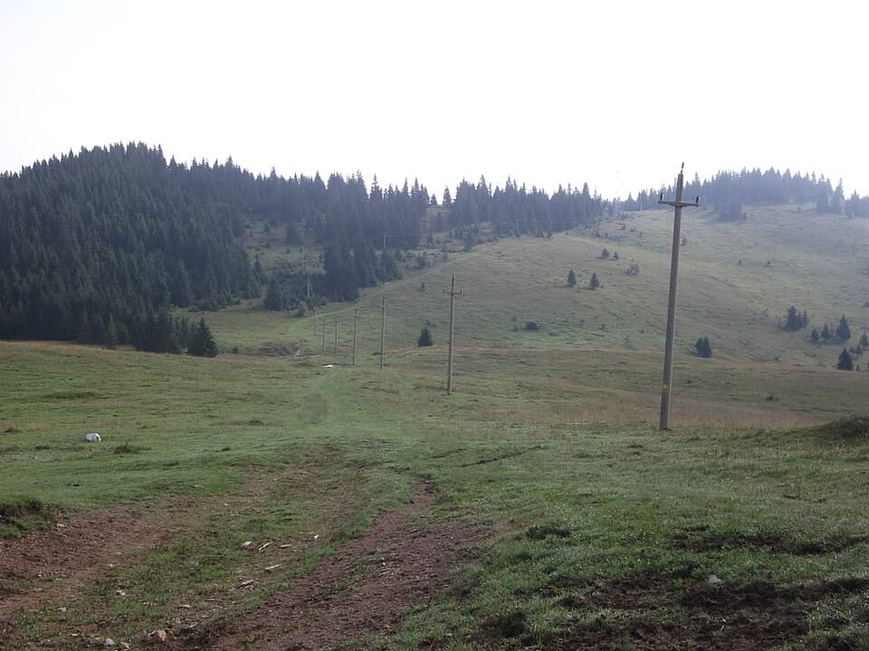 Trascău: Sesu bocului - panoramio (1)