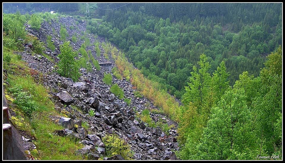 Apuseni: Marisel, Romania - panoramio (6)