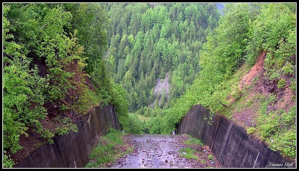 Apuseni: Marisel, Romania - panoramio (4)