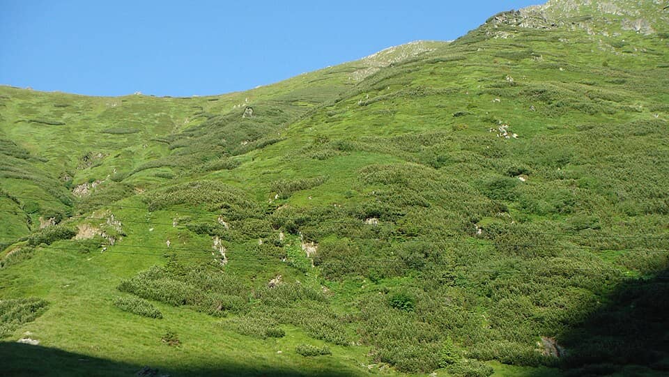 Făgăraș: Trasa Transfogarska - panoramio (6)