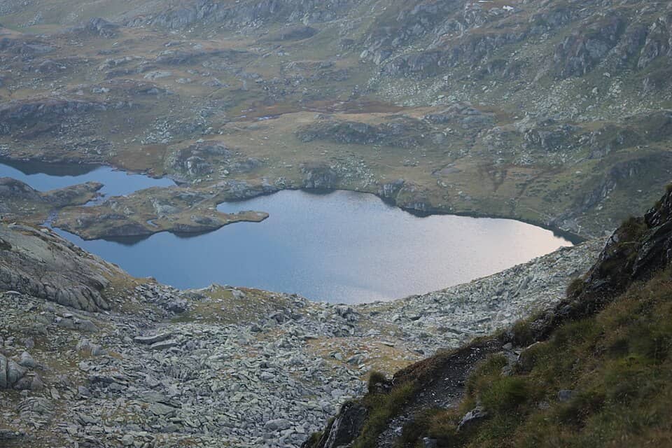 Făgăraș: Fagaraš, 2014 (090)