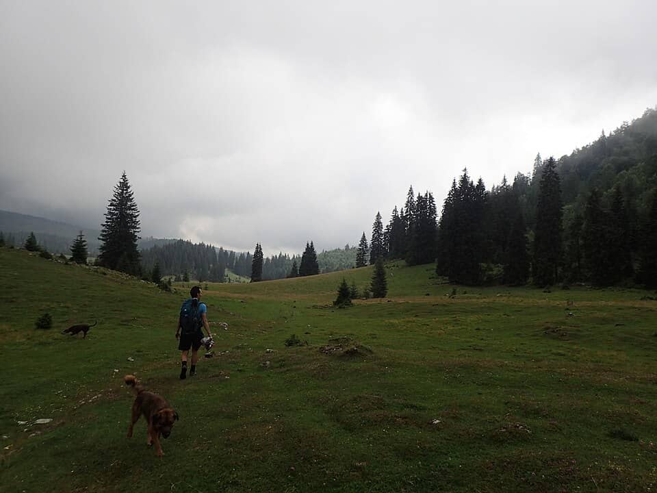 Apuseni: Varasoaia Meadow rain 01