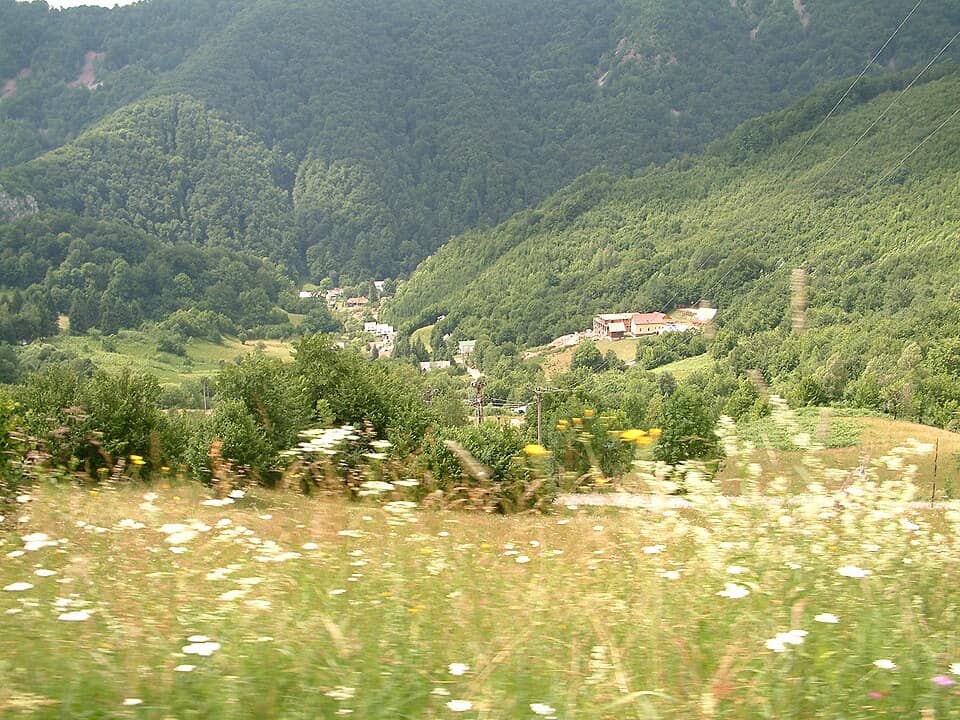 Apuseni: Boga 2008 - panoramio