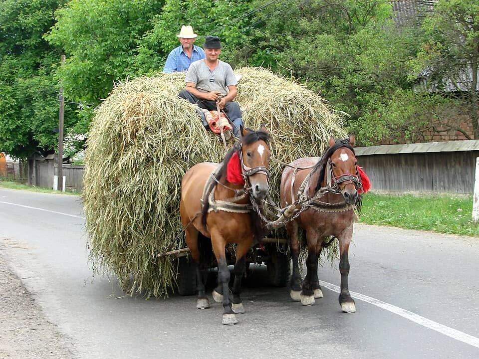 Gutâi, Igniș & Țibleș: Mara Valley - near Maramures - Romania