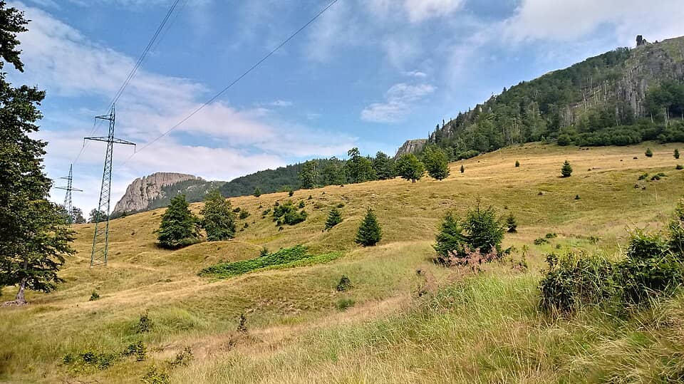 Gutâi, Igniș & Țibleș: To the Creasta Cocosului, Gutai Mountain