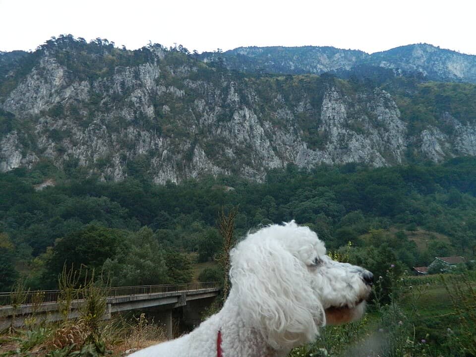 Cernei & Mehedinți (Domogled): Mehadia, Romania - panoramio