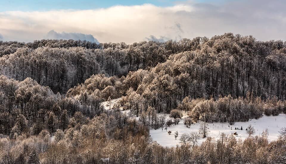 Gutâi, Igniș & Țibleș: Maramureș County, Romania (Unsplash)